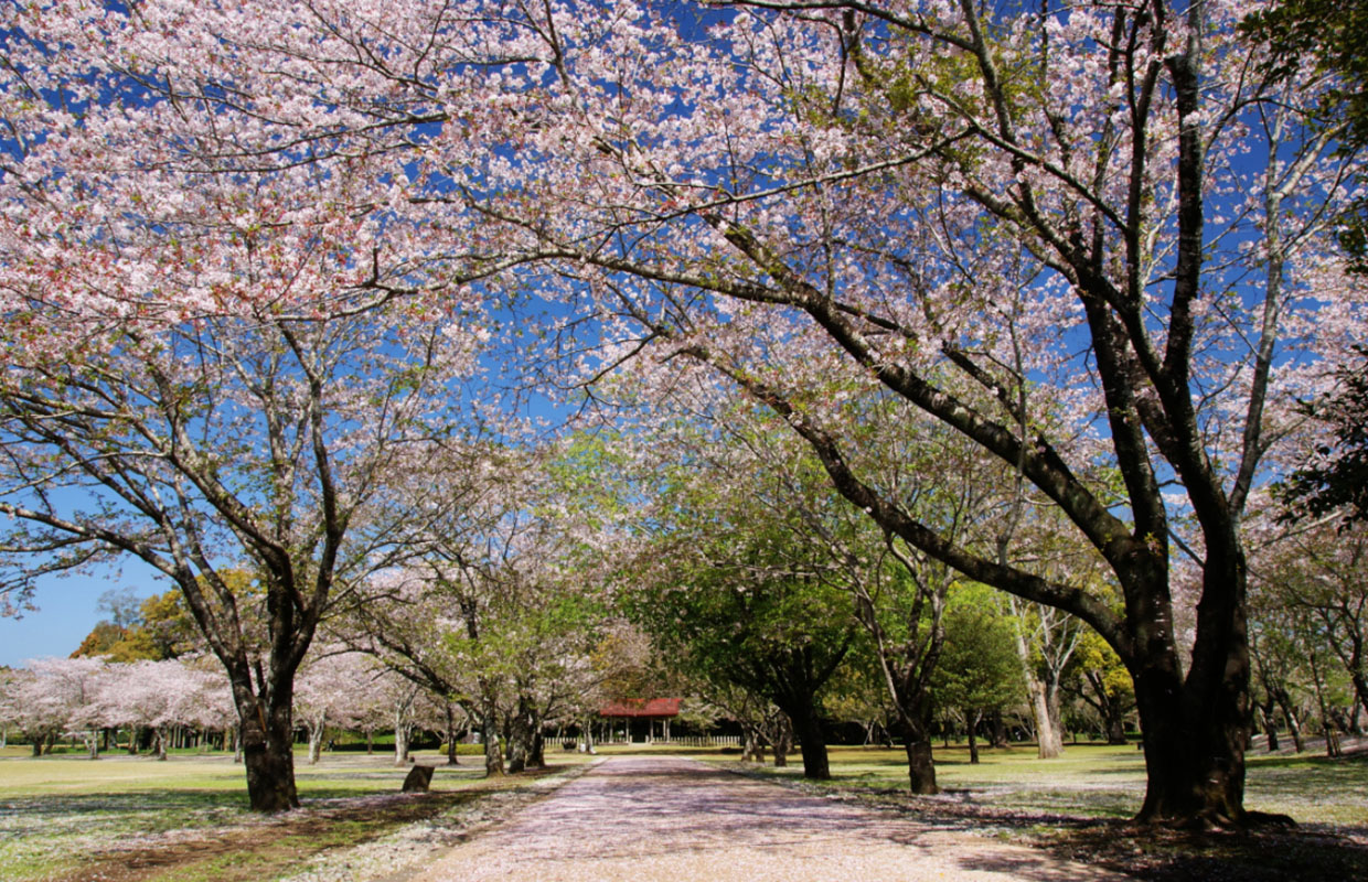 西都原杉安峡県立自然公園 Miyazaki Nature Park みやざきの自然公園