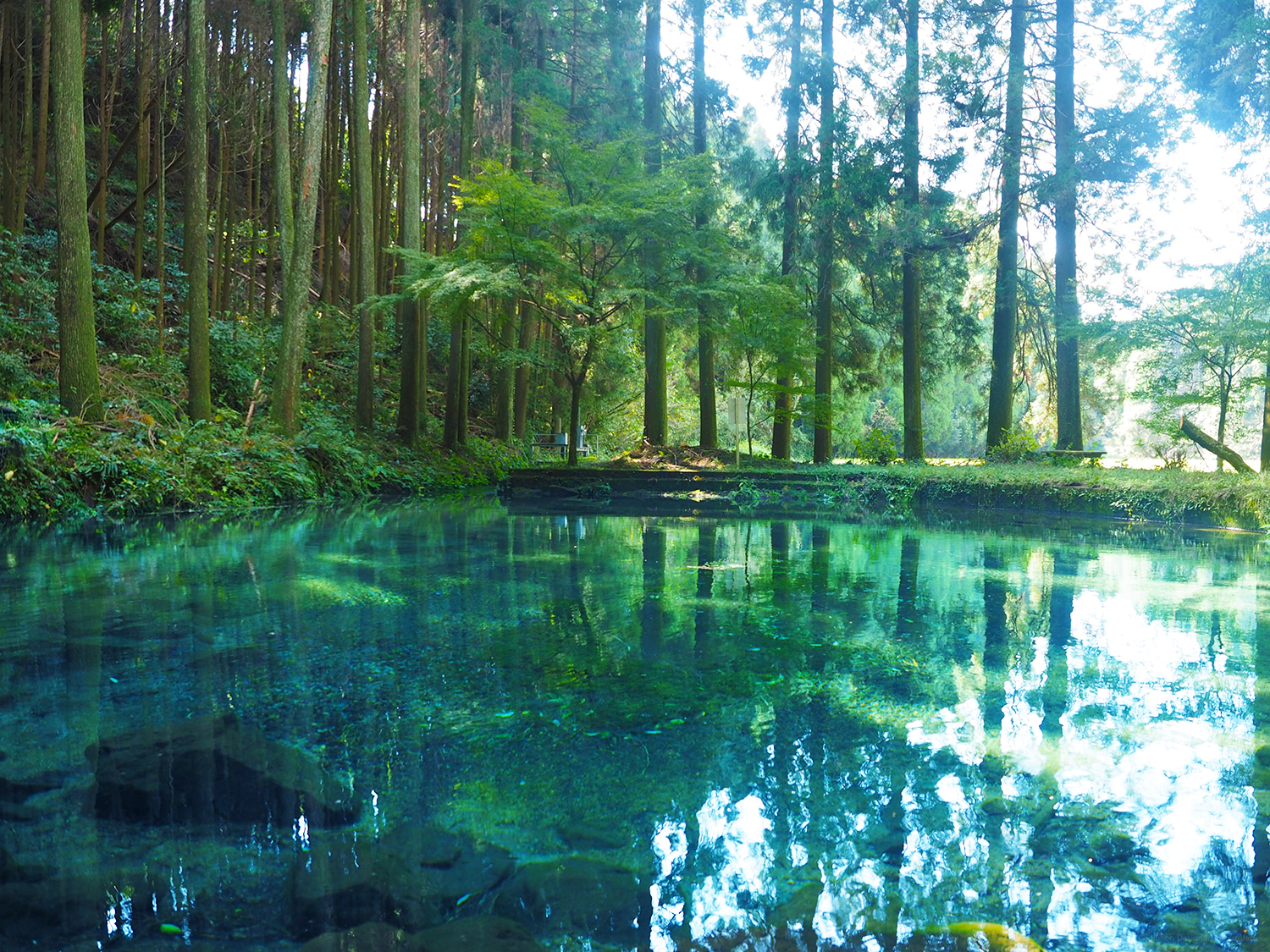 祖母傾県立自然公園 - Miyazaki Nature Park | みやざきの自然公園